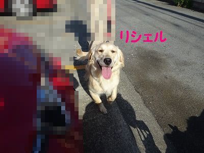 ねずみは無くなってウサギが出た_e0222588_17023148.jpg