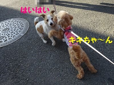 ねずみは無くなってウサギが出た_e0222588_17023661.jpg