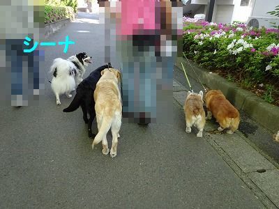 ねずみは無くなってウサギが出た_e0222588_17025054.jpg