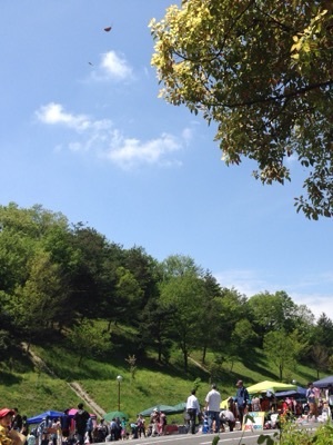 b0137898_13210463.jpg