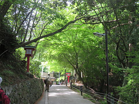 d0046702_5184297.jpg