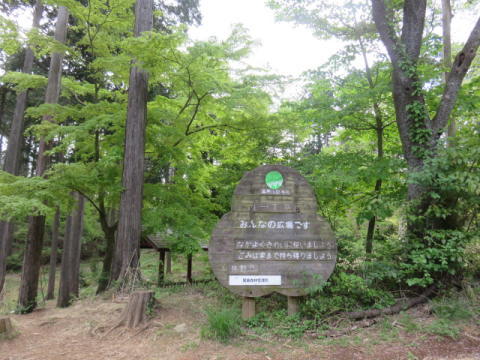 d0046702_5203412.jpg