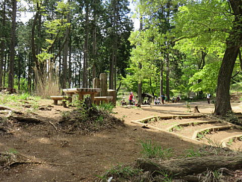 d0046702_520487.jpg