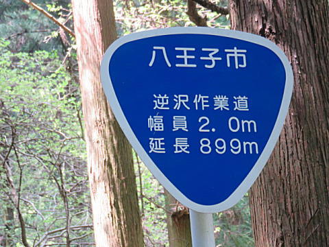d0046702_5205888.jpg