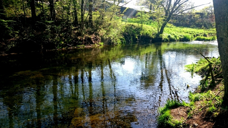 f0266202_20121195.jpg