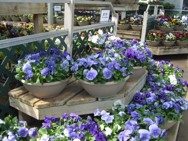 c0062603_11350144.jpg