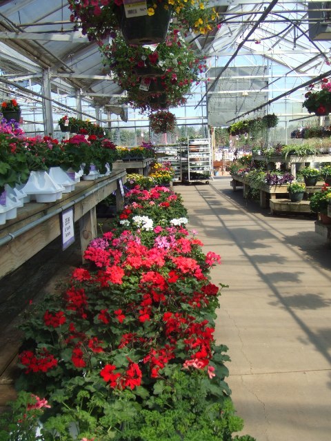 c0062603_11352866.jpg