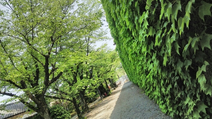 倉敷さんぽ♪♪_c0212604_13394898.jpg