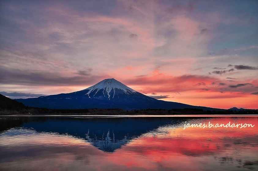 富士山　Ⅼake Tanuki   _e0337604_11074400.jpg