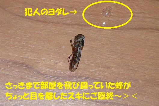 f0121712_22565919.jpg