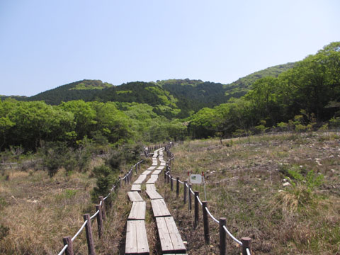 e0293913_9571223.jpg