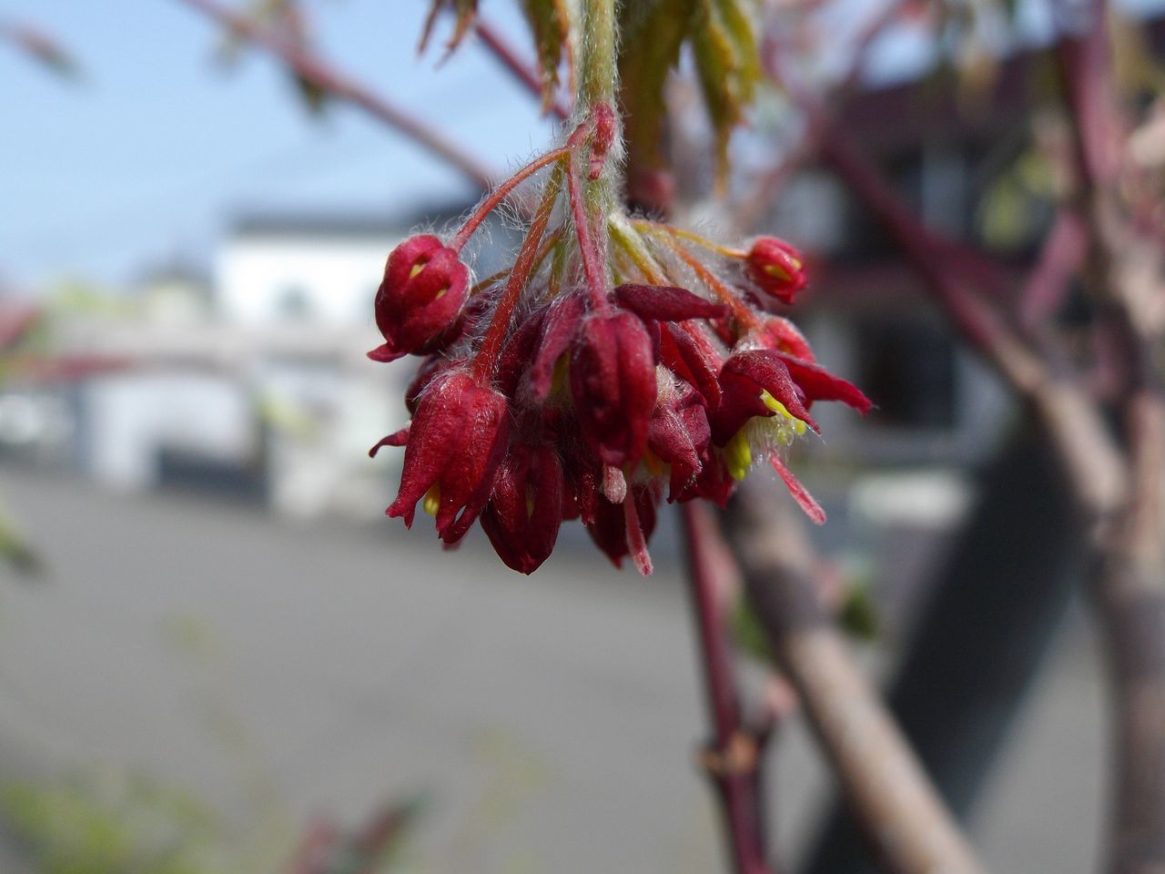 連休初日_c0025115_21570062.jpg