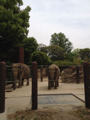 やっぱり苦手、動物園_e0281918_8274222.jpg