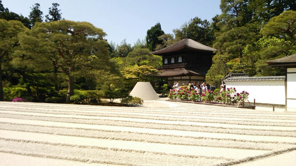新緑の京都_a0112220_8371323.jpg