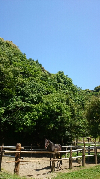 b0187620_21131161.jpg