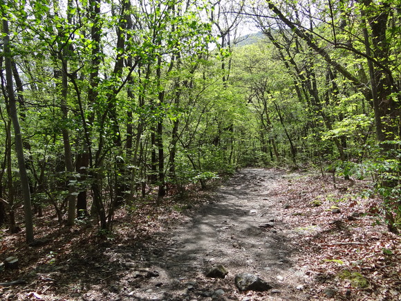 f0198620_117853.jpg