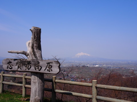 b0147224_2047169.jpg