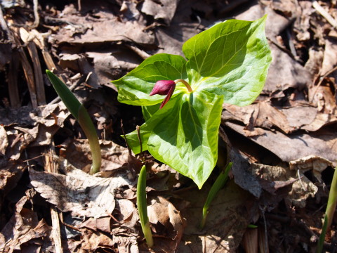 b0147224_20502853.jpg
