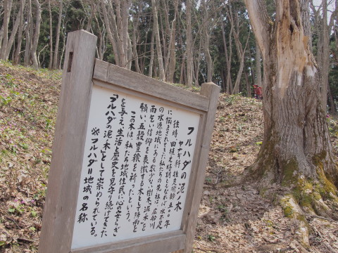 b0147224_20563492.jpg