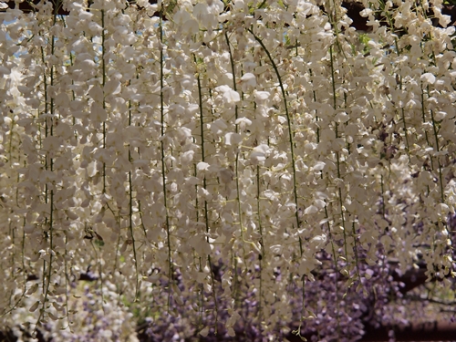 c0026824_16442337.jpg