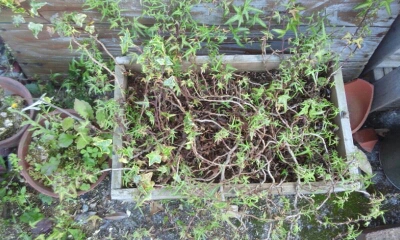c0276326_14324617.jpg