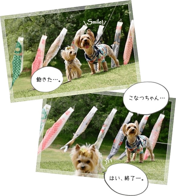 公園デートのあとは、カフェデート。_d0179828_23093076.png