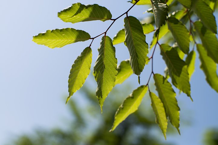 b0134829_21555234.jpg