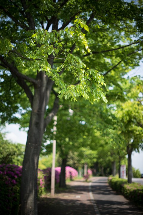b0134829_215699.jpg