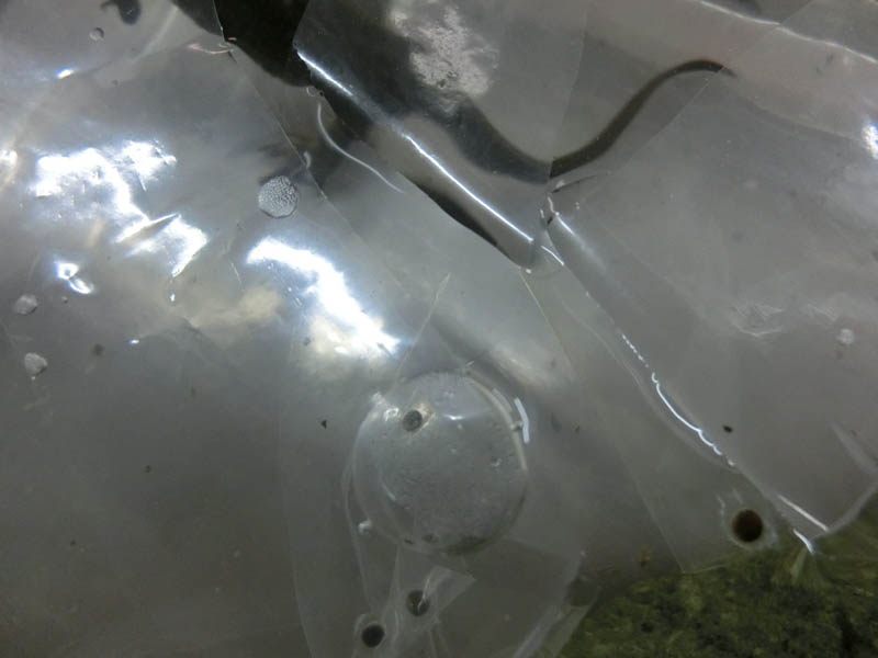 f0177529_238463.jpg