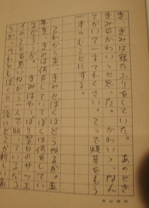 素晴らしい恋愛小説 寺山修司と九條映子のラブレター ポルトガル便り ヨーロッパ偏見 ひんがら 日記 素晴らしい恋愛小説 寺山修司と九條映子のラブレター ポルトガル便り ヨーロッパ偏見 ひんがら 日記
