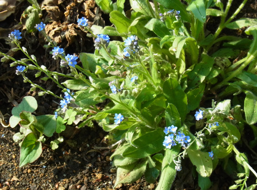 f0206939_8472153.jpg