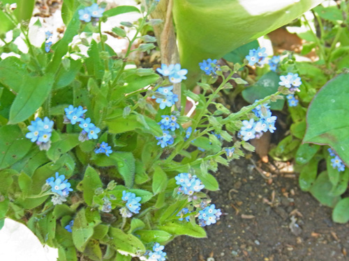 f0206939_847349.jpg