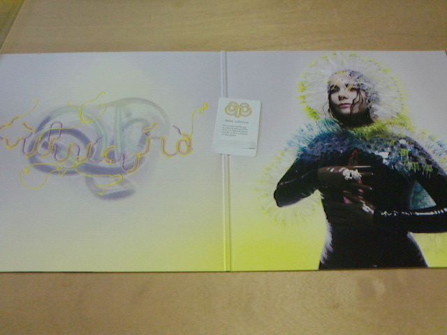 昨日到着レコ 〜 vulnicura / bjork_c0104445_20472764.jpg