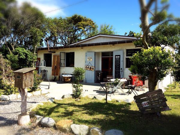 シェブロンカフェ_e0292546_805487.jpg