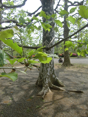 f0329849_13101501.jpg