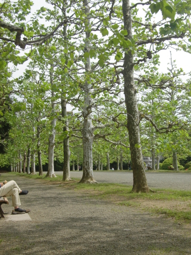 f0329849_13111651.jpg