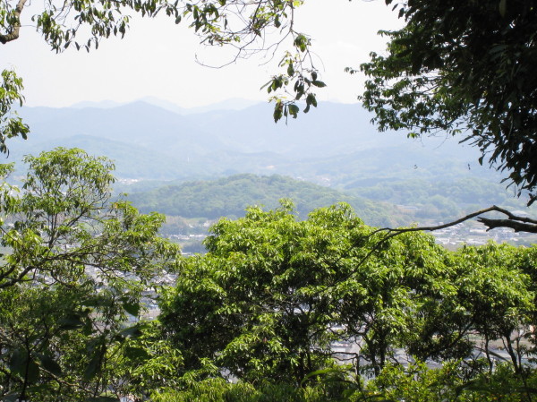 c0121953_2013103.jpg