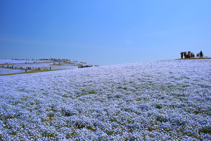 d0274760_7331554.jpg