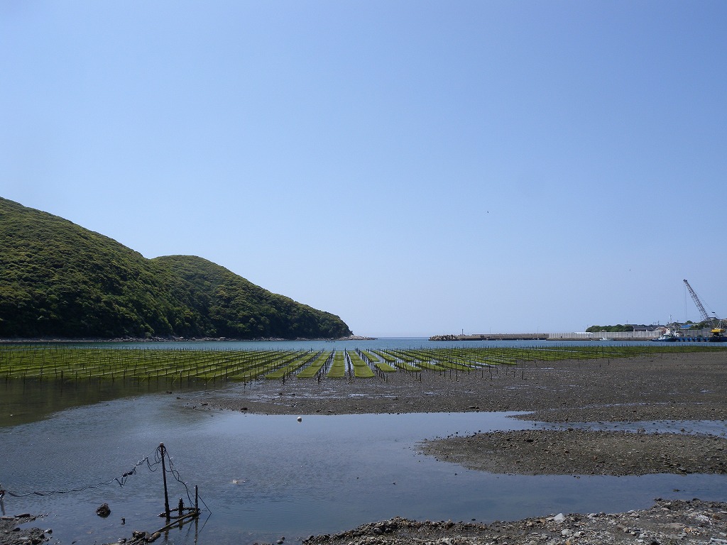 b0104861_20371911.jpg