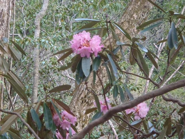 d0032262_1813367.jpg
