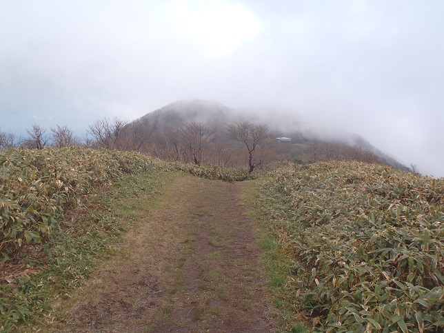 d0032262_18214033.jpg