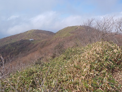 d0032262_1827923.jpg