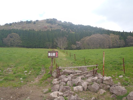 d0032262_18354119.jpg