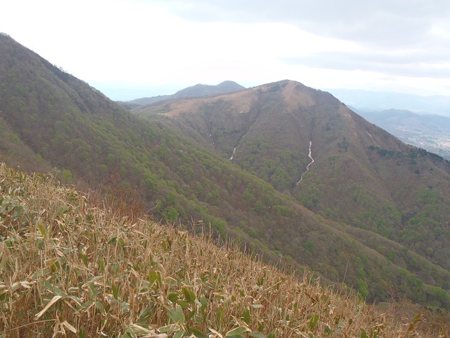 d0032262_1850216.jpg