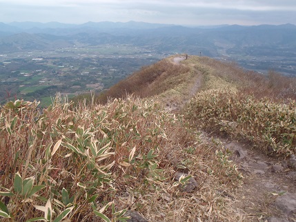 d0032262_1855754.jpg