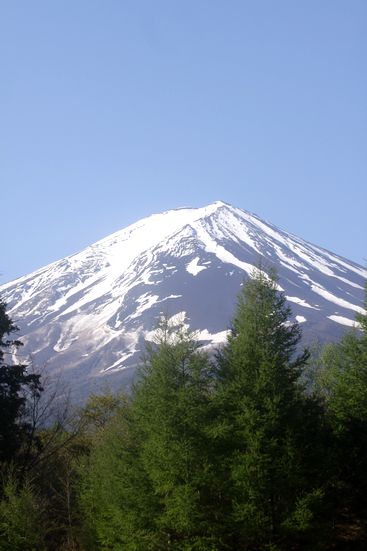 f0107364_7241555.jpg