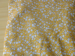 e0220065_11354868.gif