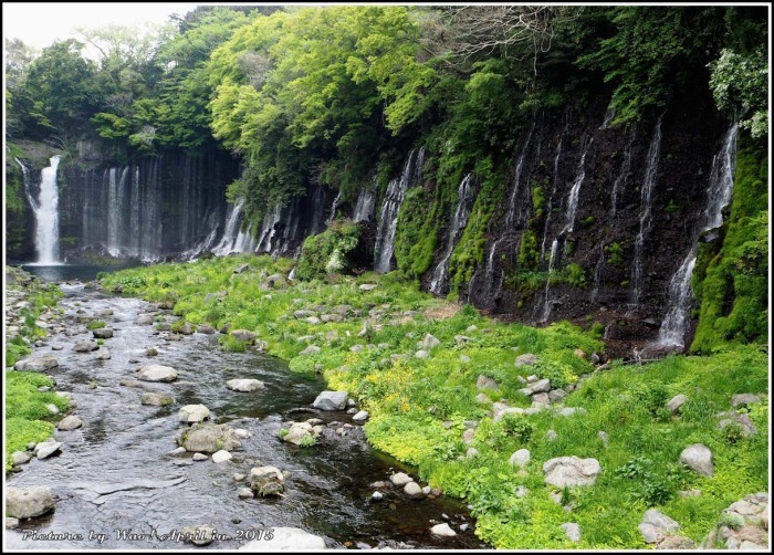 富士五湖と富士芝桜_c0198669_17140390.jpg