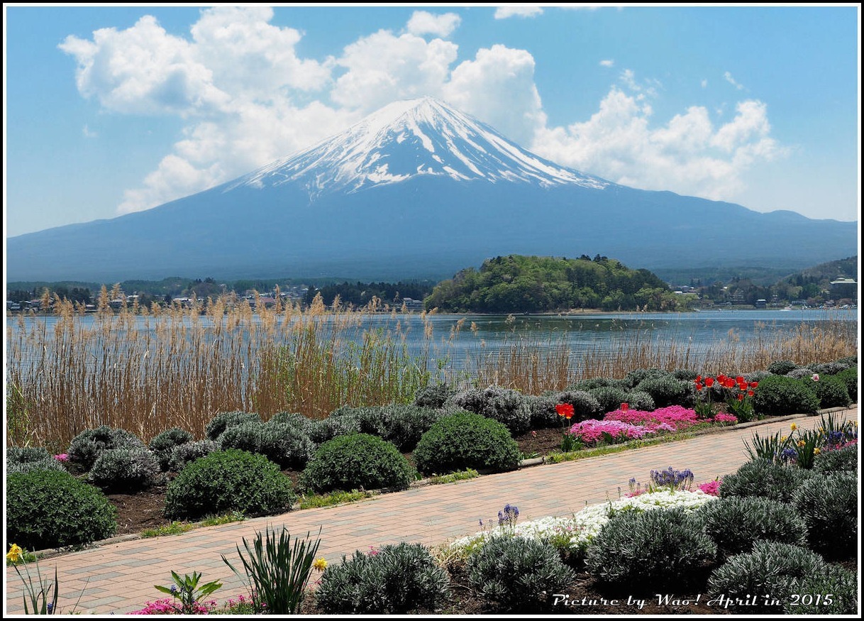 富士五湖と富士芝桜_c0198669_17212023.jpg