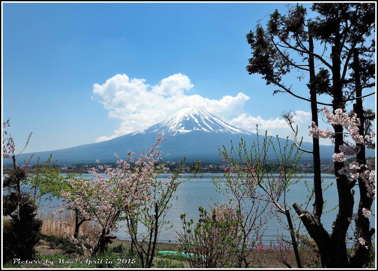 富士五湖と富士芝桜_c0198669_17214475.jpg